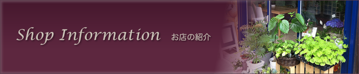 お店の紹介